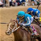 bet on derby horses
